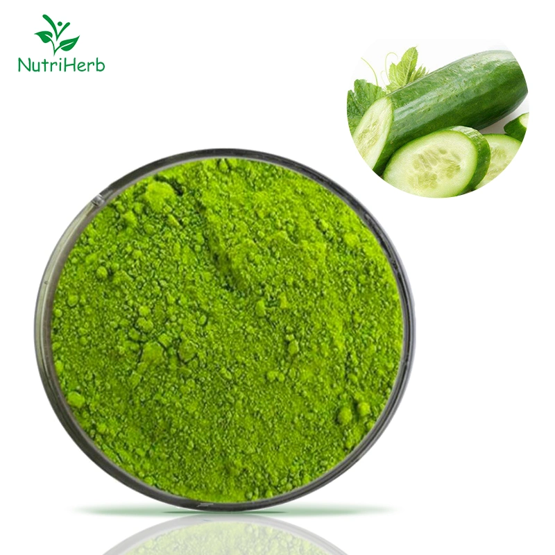 Bulk Supply Organic Cucumber Powder Super Food Ingredients