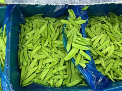 Gousses de pois surgelées de légumes en conserve, pois mange-tout, pois mange-tout