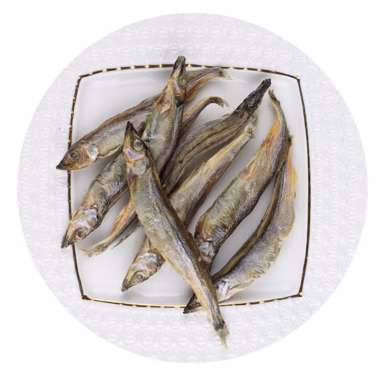 Commerce de gros d'aliments pour chiens de cuisson congelés pour animaux de compagnie, nourriture pour chiens de formation Dhsw004